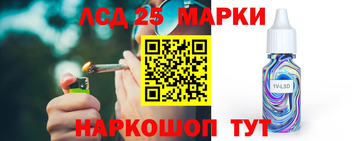 Бердск  Лсд 25 экстази кислота  ЛСД экстази кислота  Вход с VPN 