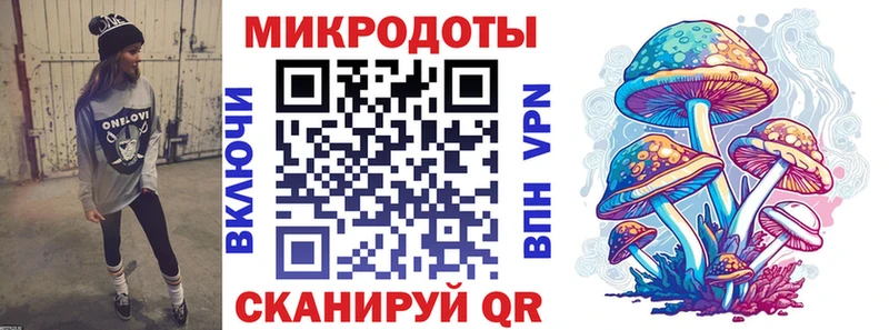 как найти закладки Бердск Галлюциногенные грибы Magic Shrooms