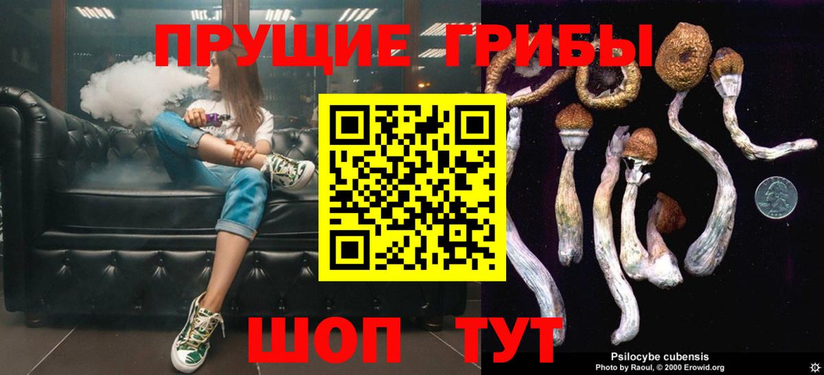 Галлюциногенные грибы Cubensis  Галлюциногенные грибы мухоморы  сколько стоит  Бердск  Вход с VPN 